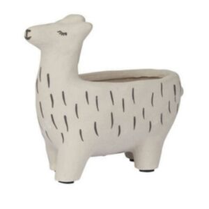 Anthro Lama Succulent Planter
